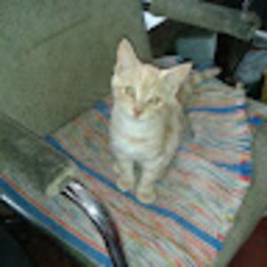 Meet your Posher, Barb